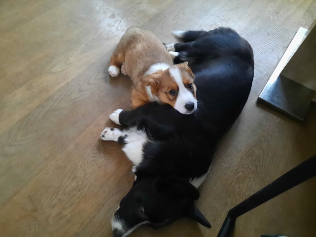Flynn der mit dem Kopf auf Fay liegt.