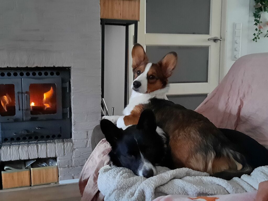 Flynn der komplett auf Fay liegt auf der Couch vor dem Kamin